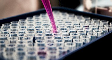 Kenosha microtiter pcr plate films