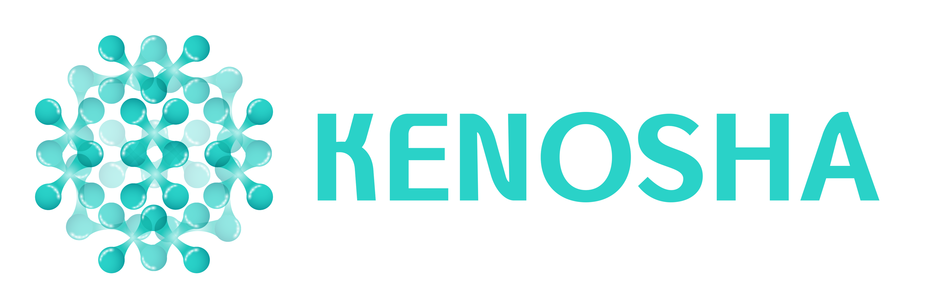 Kenosha-Logo-Website-No-payoff